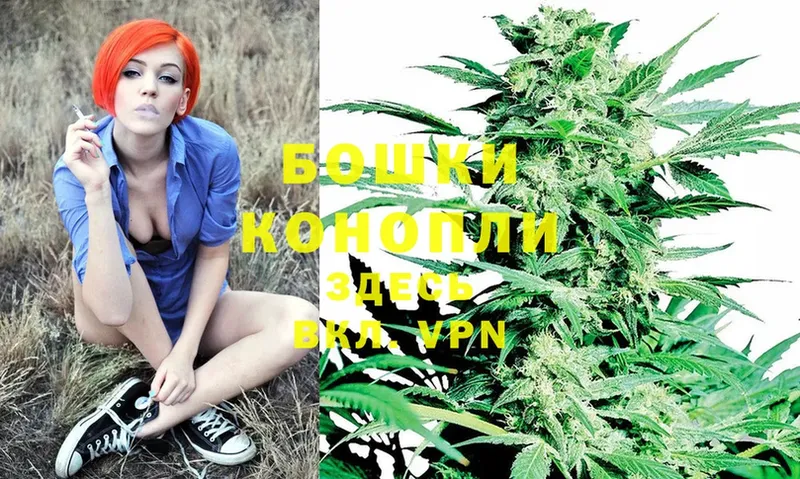 Конопля SATIVA & INDICA  Барыш 